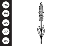Lavender SVG Product Image 1