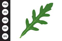 Arugula Leaf SVG Product Image 1