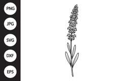 Lavender SVG Product Image 1