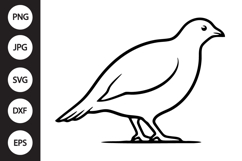 Partridge Bird SVG Product Image 1