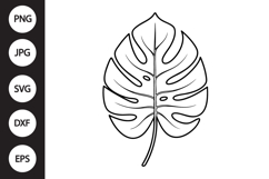 Monstera Leaf SVG Product Image 1