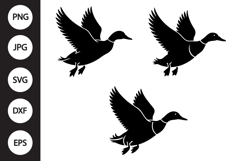 Mallard Duck Flying SVG, Mallard Duck Flying Clipart Product Image 1