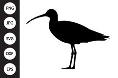 Eastern Curlew Bird SVG Product Image 1