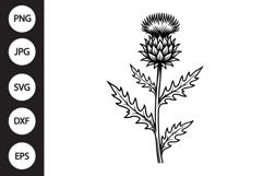 Scottish Thistle SVG Product Image 1