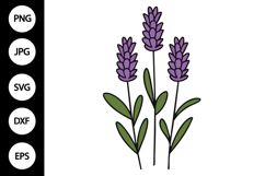 Lavender Clipart, Lavender SVG Product Image 1