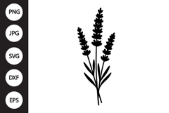 Lavender SVG Product Image 1