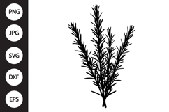 Rosemary SVG Product Image 1