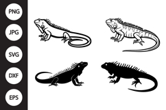 Iguana SVG, Iguana Clipart Product Image 1