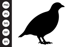 Partridge Bird SVG Product Image 1