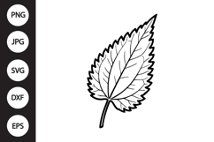 Nettle Leaf SVG Product Image 1