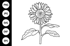 Outline Sunflower SVG, Coloring Page Product Image 1