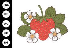 Strawberry SVG Product Image 1