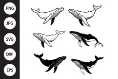 Whale SVG, Whale Clipart Product Image 1