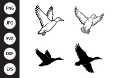 Flying Mallard Duck SVG, Flying Mallard Duck Clipart Product Image 1