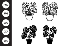 Monstera in a Pot SVG, Monstera in a Pot Clipart Product Image 1