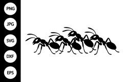 Ant Silhouette SVG Product Image 1