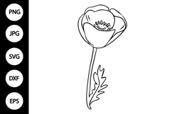 Outline Poppy Flower SVG, Coloring Page Product Image 1