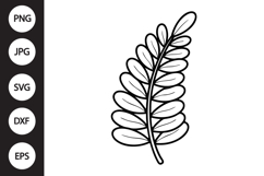 Fern Leaf SVG Product Image 1