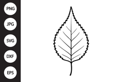 Birch Leaf SVG Product Image 1