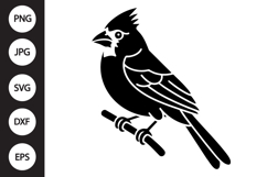 Cardinal Silhouette SVG Product Image 1