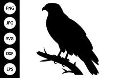 Hawk Bird SVG Product Image 1