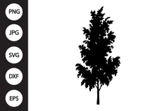 Birch Tree SVG Product Image 1