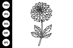Outline Dahlia Flower SVG Product Image 1