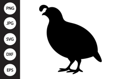 Quail Silhouette SVG Product Image 1