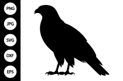 Hawk Bird SVG Product Image 1