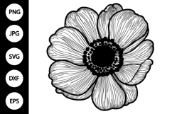 Outline Anemone Flower SVG Product Image 1