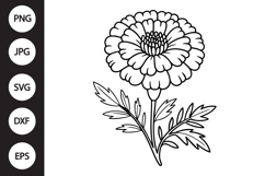 Marigold SVG Product Image 1