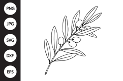 Olive Branch SVG Product Image 1