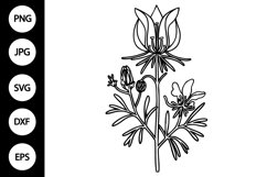 Outline Crimson Columbine SVG, Coloring Page Product Image 1