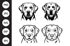 Labrador Retriever Dog Face SVG Product Image 1