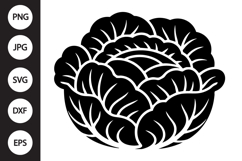 Cabbage SVG Product Image 1