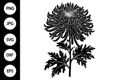 Silhouette Chrysanthemum Flower SVG Product Image 1