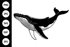 Whale SVG, Whale Silhouette SVG Product Image 1