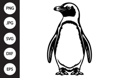 African Penguin SVG Product Image 1