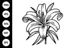 Outline Lily SVG, Coloring Page Product Image 1
