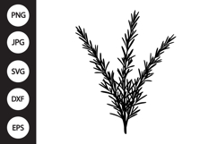 Rosemary SVG Product Image 1