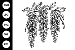 Outline Wisteria Flower SVG Product Image 1