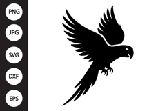 Parrot SVG Product Image 1