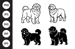 Newfoundland Dog SVG, Newfoundland Dog Clipart Product Image 1