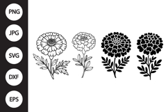 Marigold SVG, Marigold Clipart Product Image 1