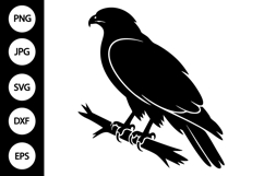 Hawk Bird SVG Product Image 1