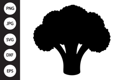 Broccoli SVG Product Image 1