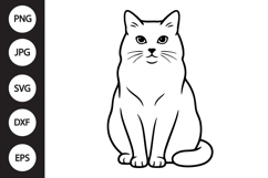 Ragdoll Cat SVG Product Image 1
