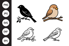 Sparrow SVG, Sparrow Clipart Product Image 1