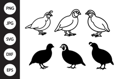 Quail SVG, Quail Clipart Product Image 1