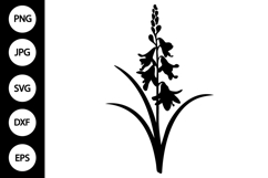 Silhouette Gladiolus Flower SVG Product Image 1